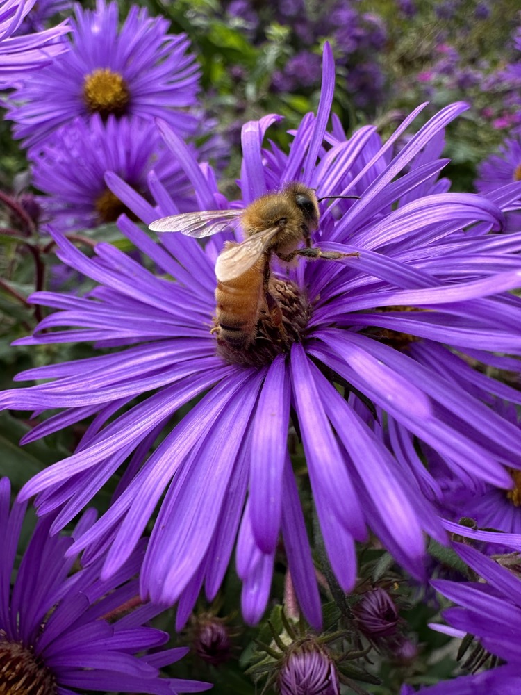 ready for take-off