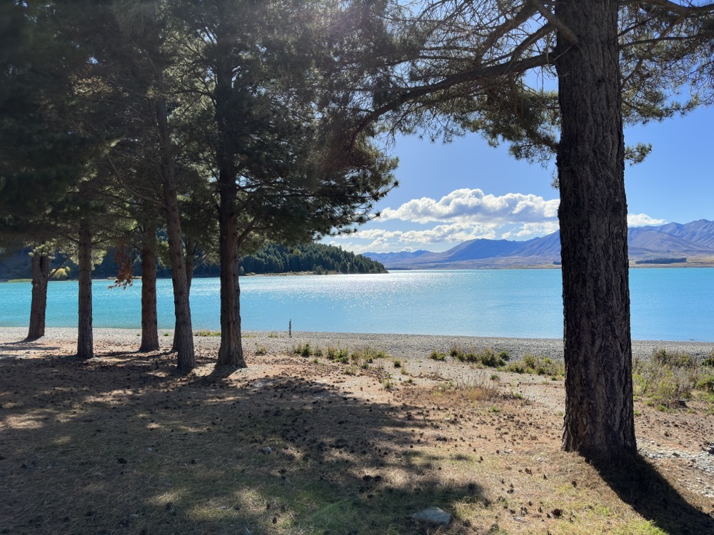 Blick auf den See von der Süd-West Seite aus