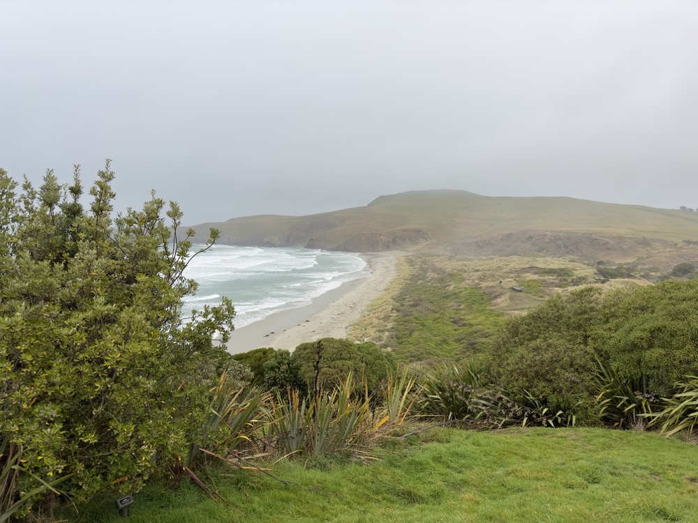 Blick auf den Penguin Beach