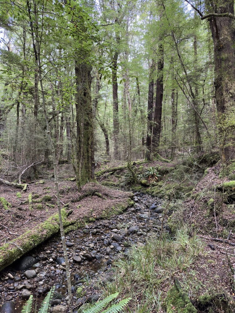 Hätte es geregnet, würde dieser Bach rauschen