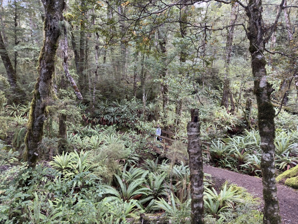 Auf diesem Foto hat sich ein Abenteurer versteckt, kannst du ihn finden?