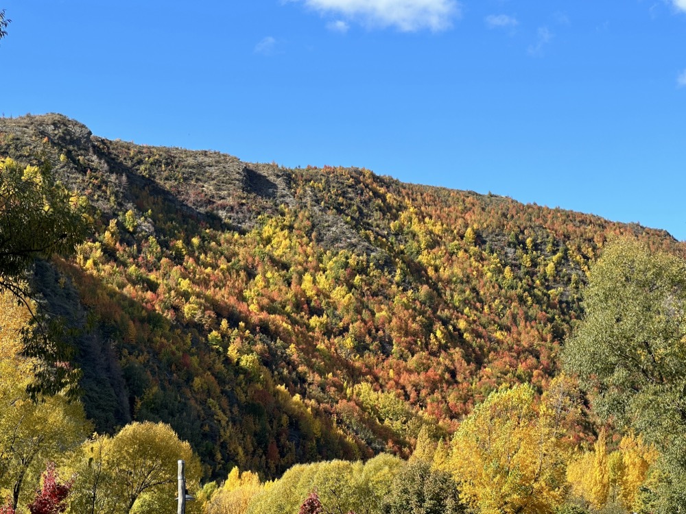 Der Herbst zeigt sich von seiner besten Seite