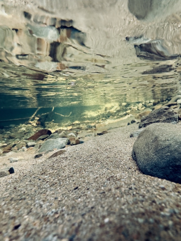 überall kristallklares Wasser