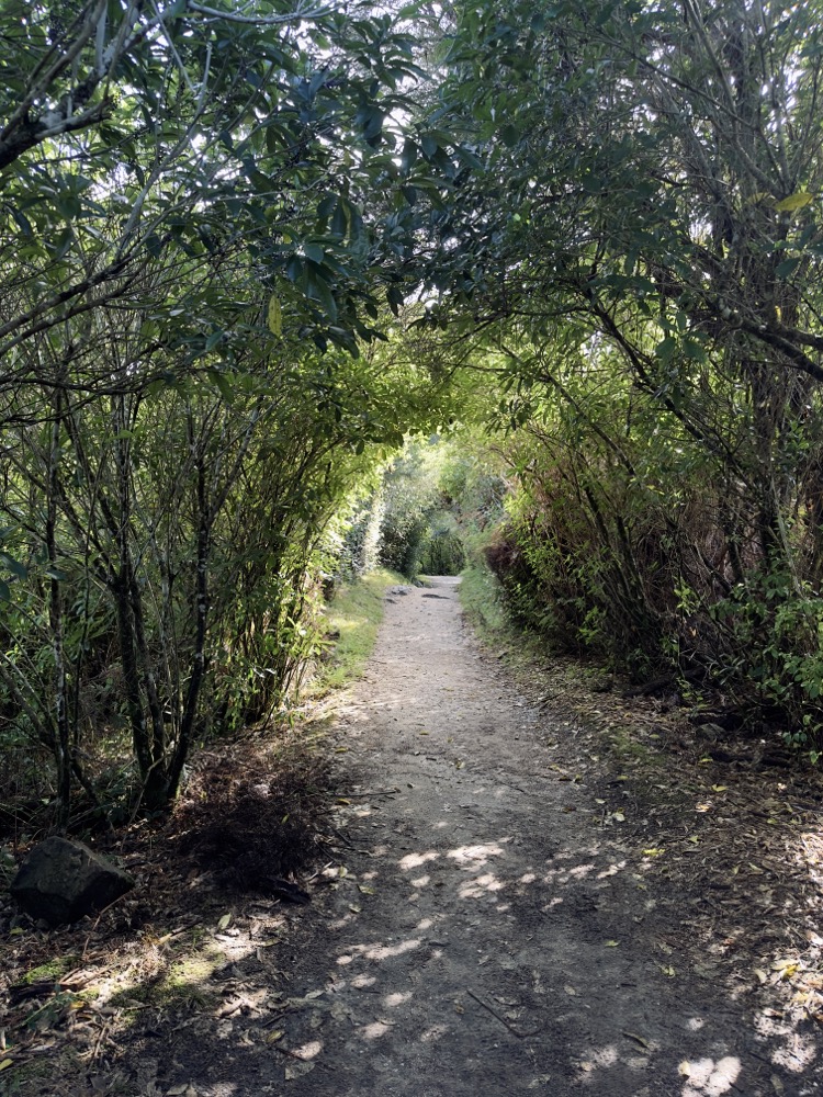 Ein Licht am Ende des Tunnels