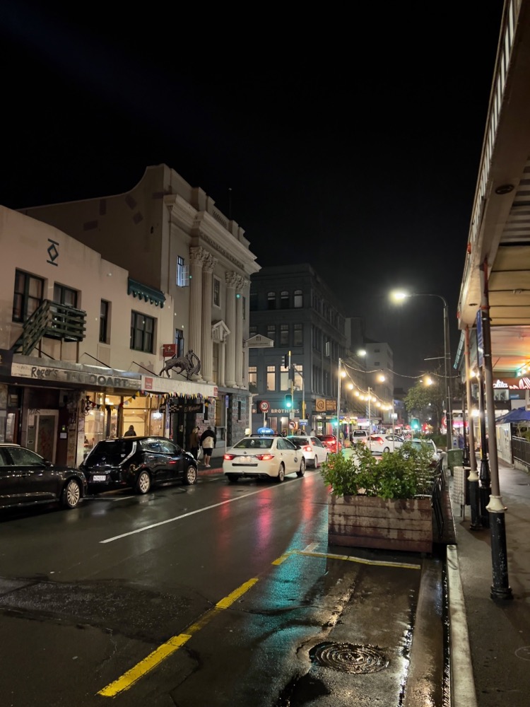 Blick auf die Cuba Street bei Nacht