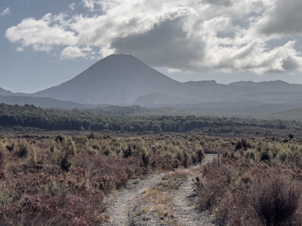 Am liebsten wären wir den Weg weiter gefahren, die Landschaft war atemberaubend schön