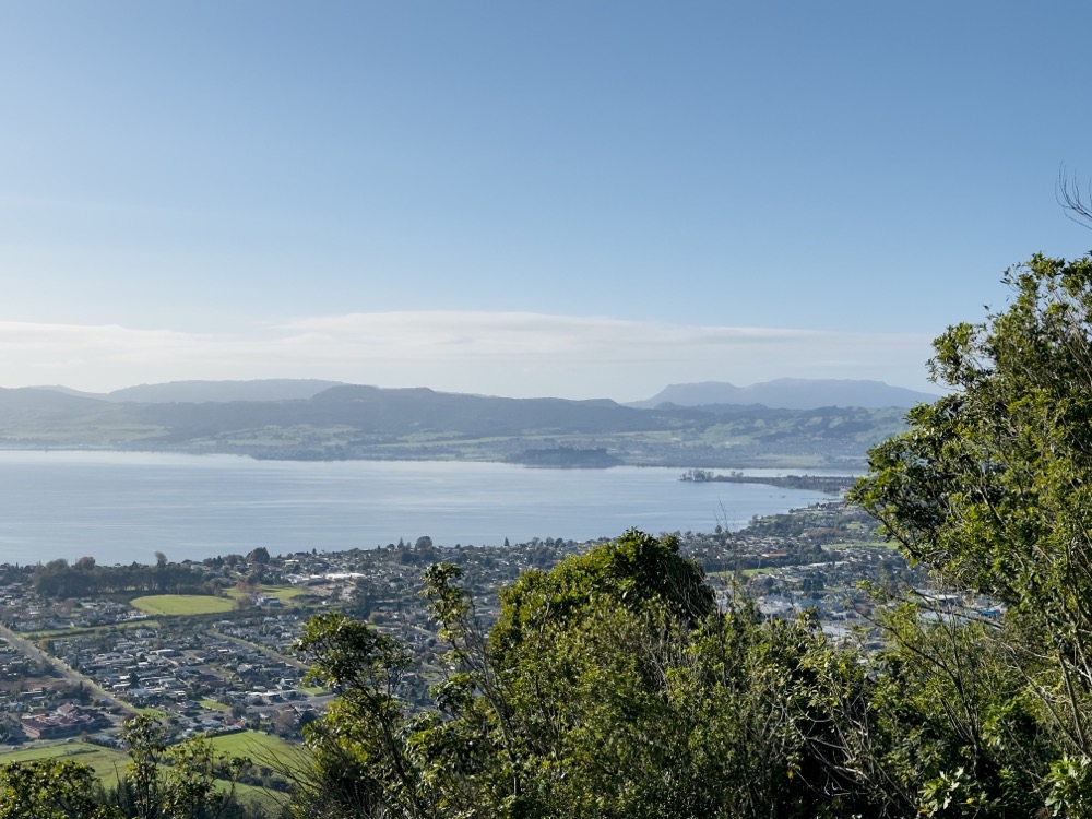 (fast) ganz Rotorua in einem Blick