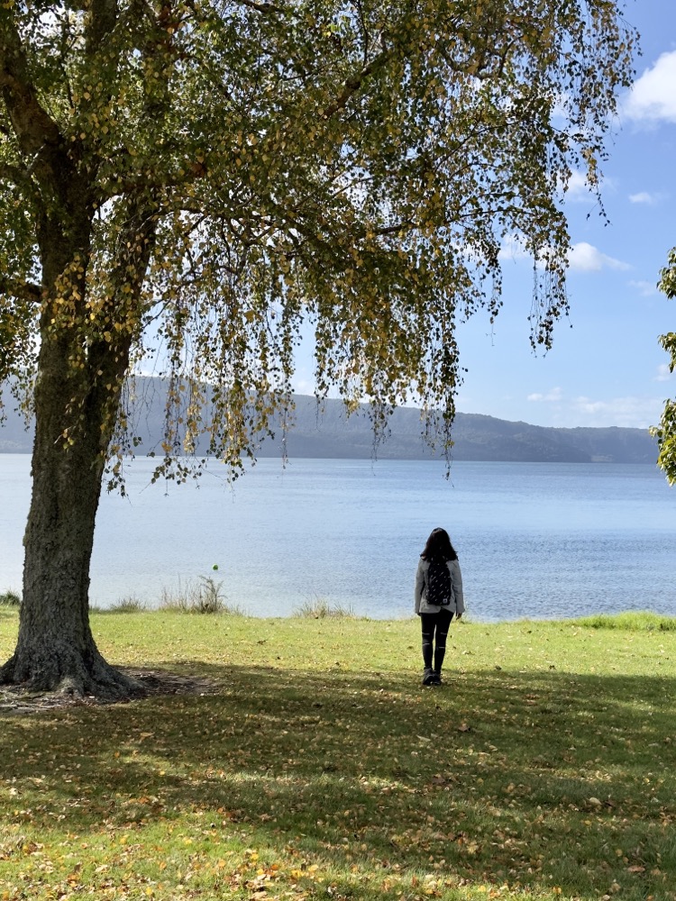 Hier war der Herbst schon angekommen, die Wiese war bedeckt mit bunten Blättern