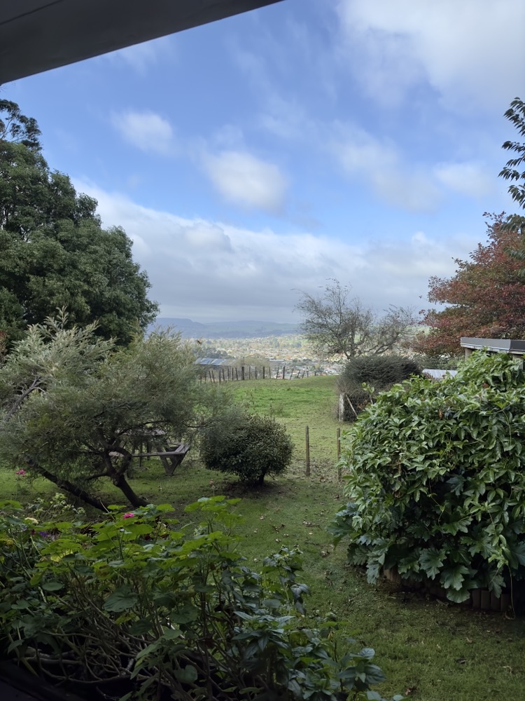 Ausblick in den Garten