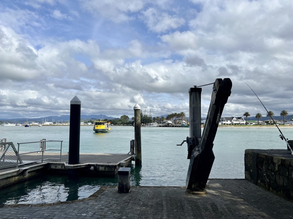 Land in Sicht! bzw. der Anleger in Whitianga