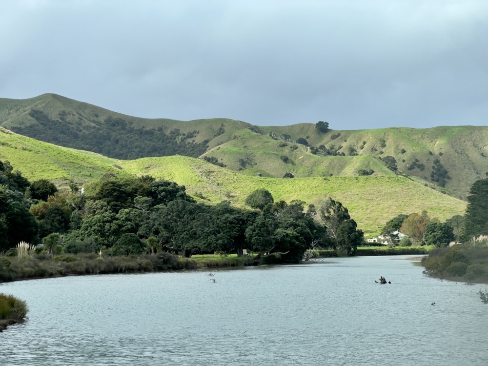 Waikawau an der Firth of Thames